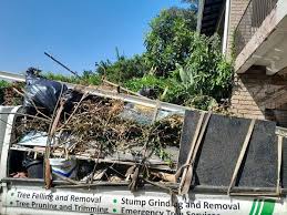 Best Property Management Cleanouts  in Valencia West, AZ